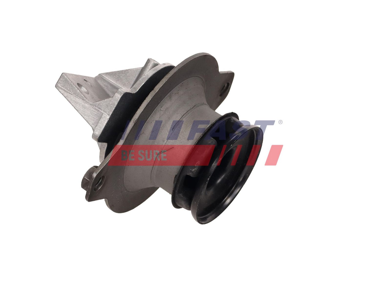 FAST FT52043 Mounting, engine