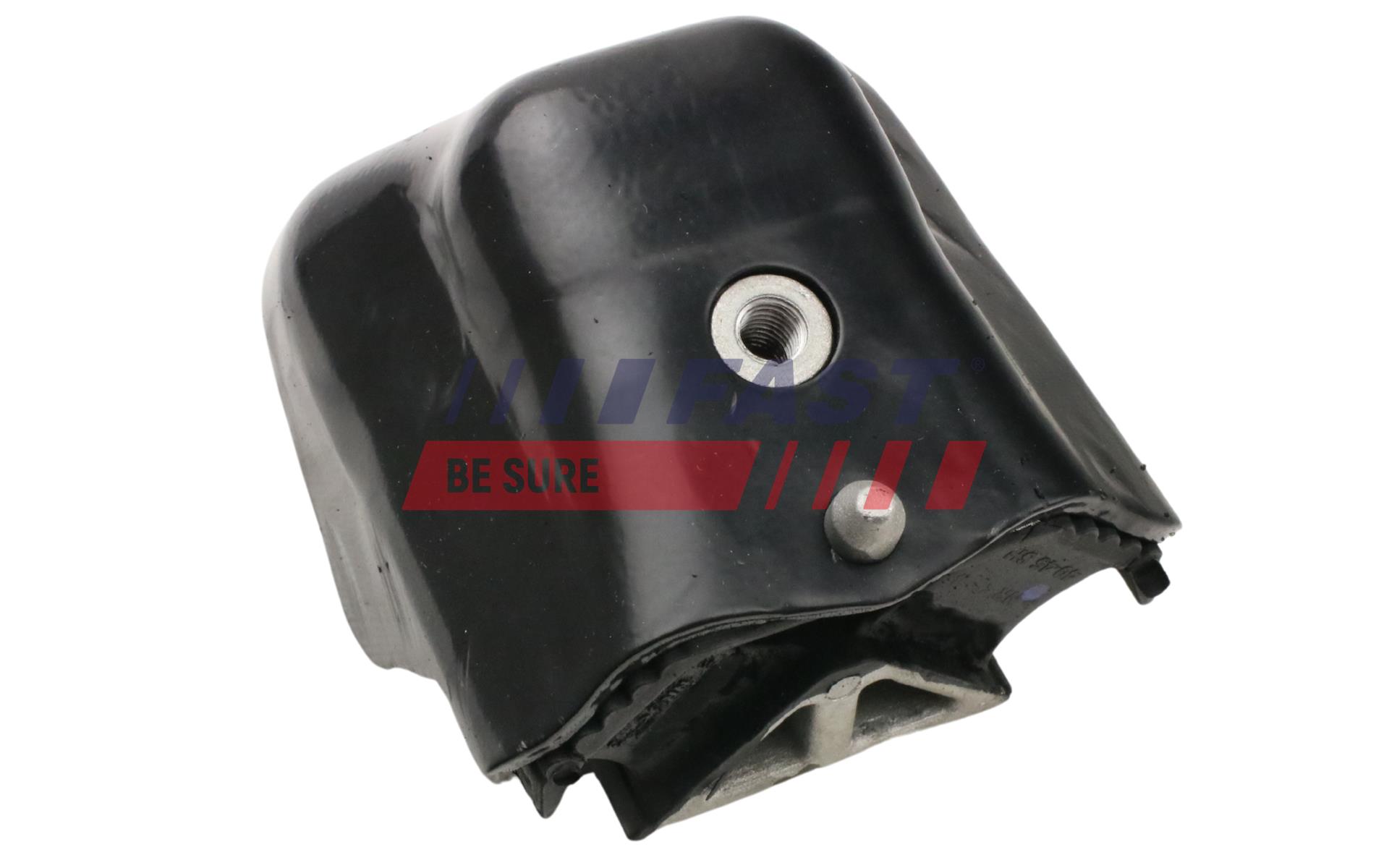 FAST FT52044 Mounting, engine