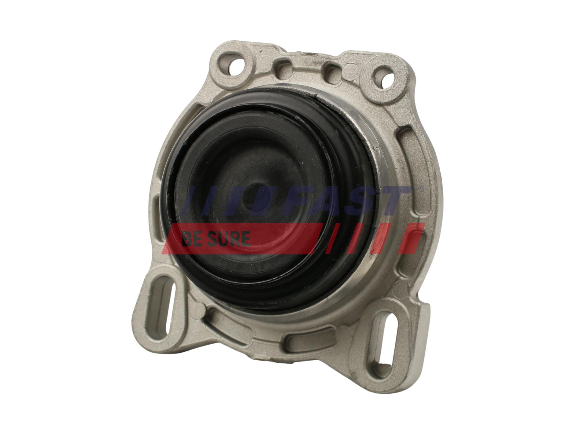 FAST FT52220 Mounting, engine