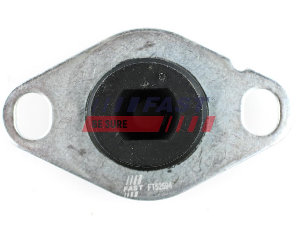 FAST FT52594 Mounting,...