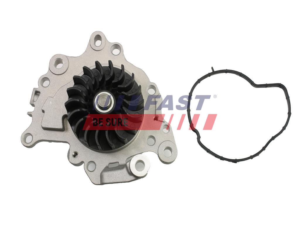 FAST FT57002 Water Pump,...