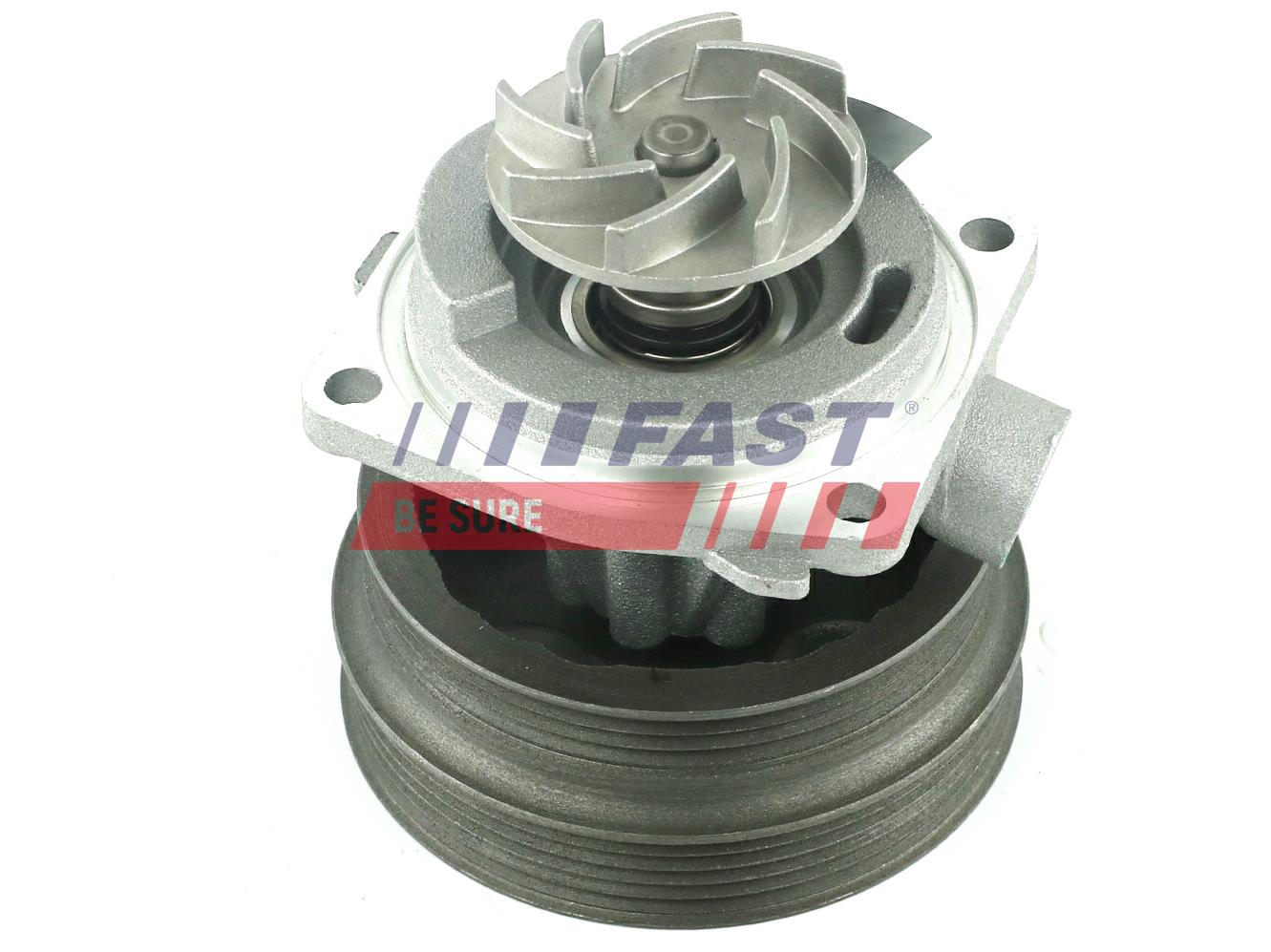 FAST FT57057 Water Pump,...