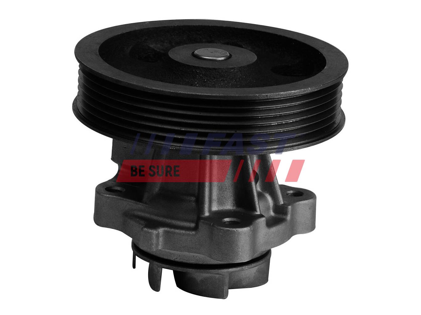 FAST FT57140 Water Pump,...