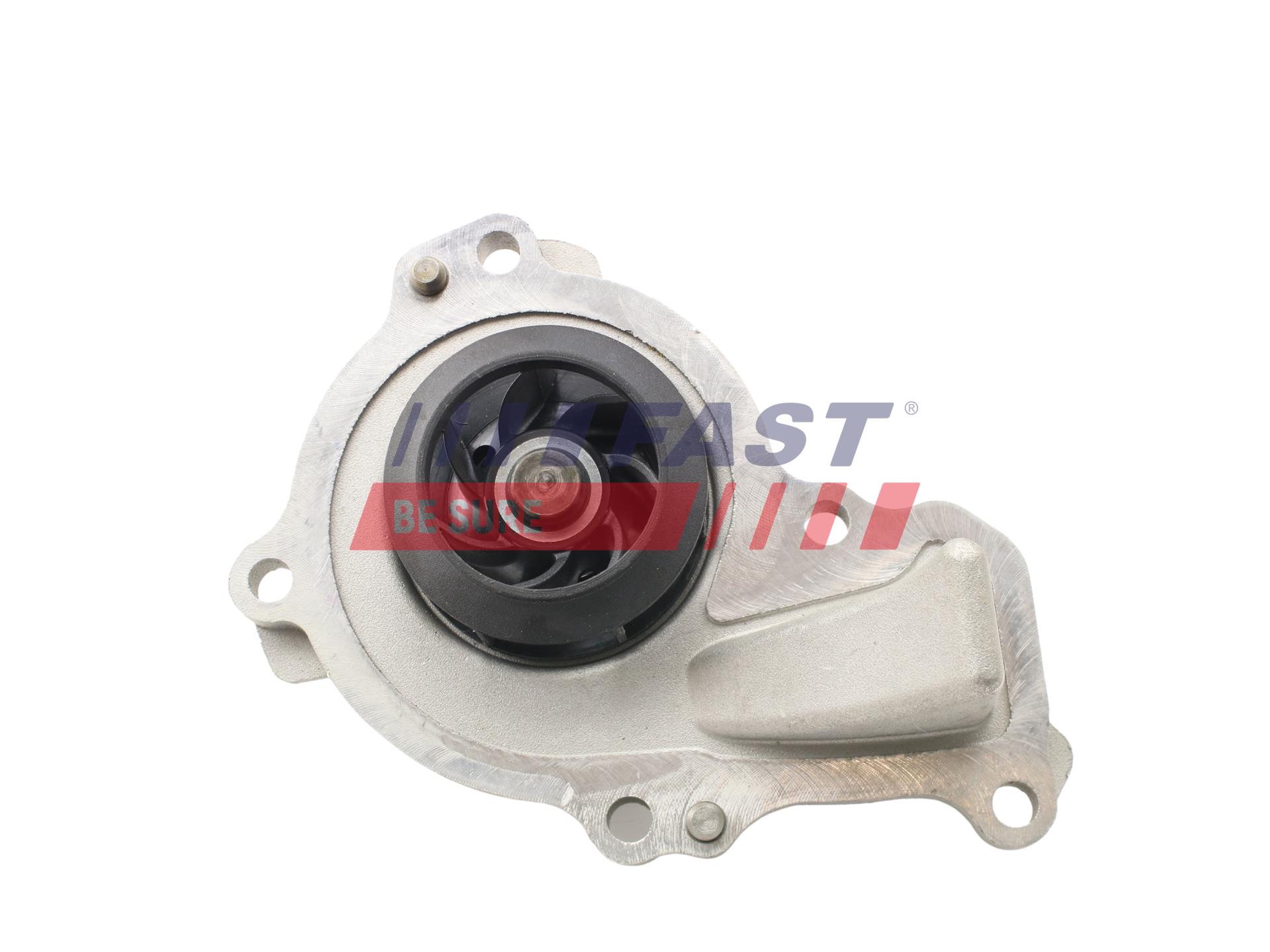 FAST FT57198 Water Pump,...