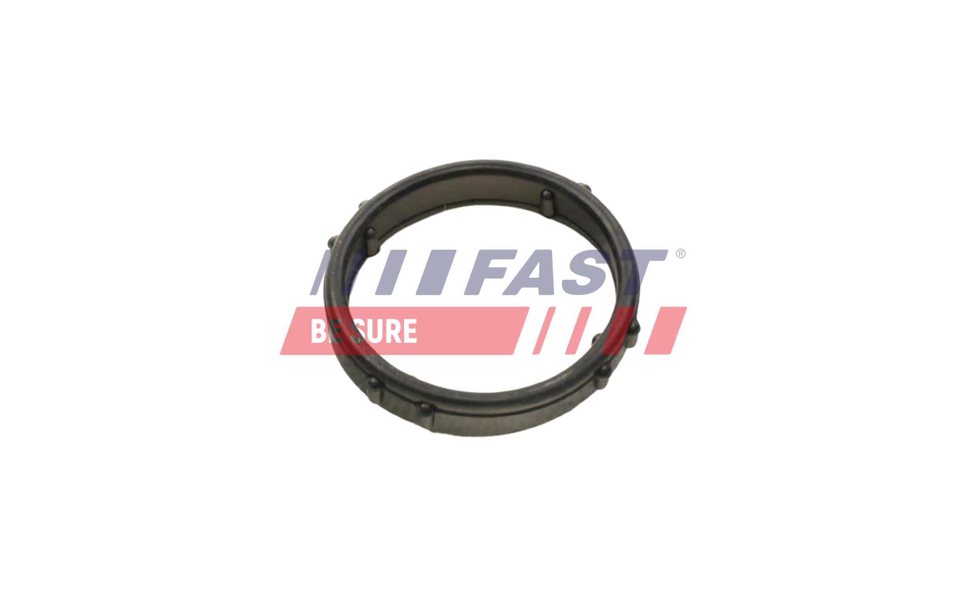FAST FT57406 Gasket, water...
