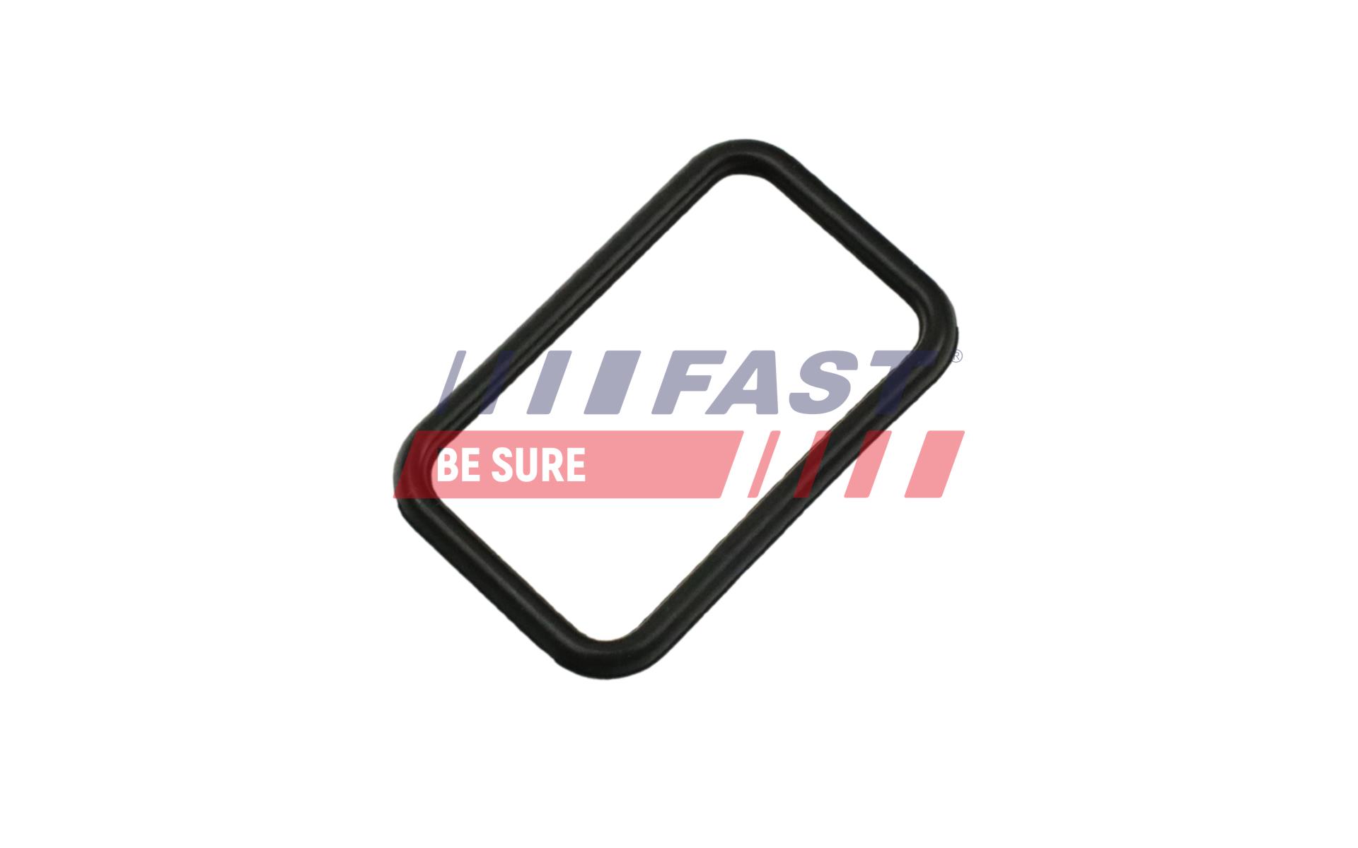 FAST FT57407 Gasket, water...