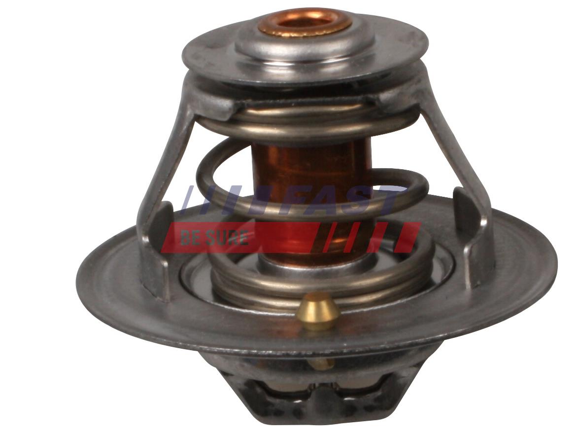 FAST FT58032 Thermostat,...