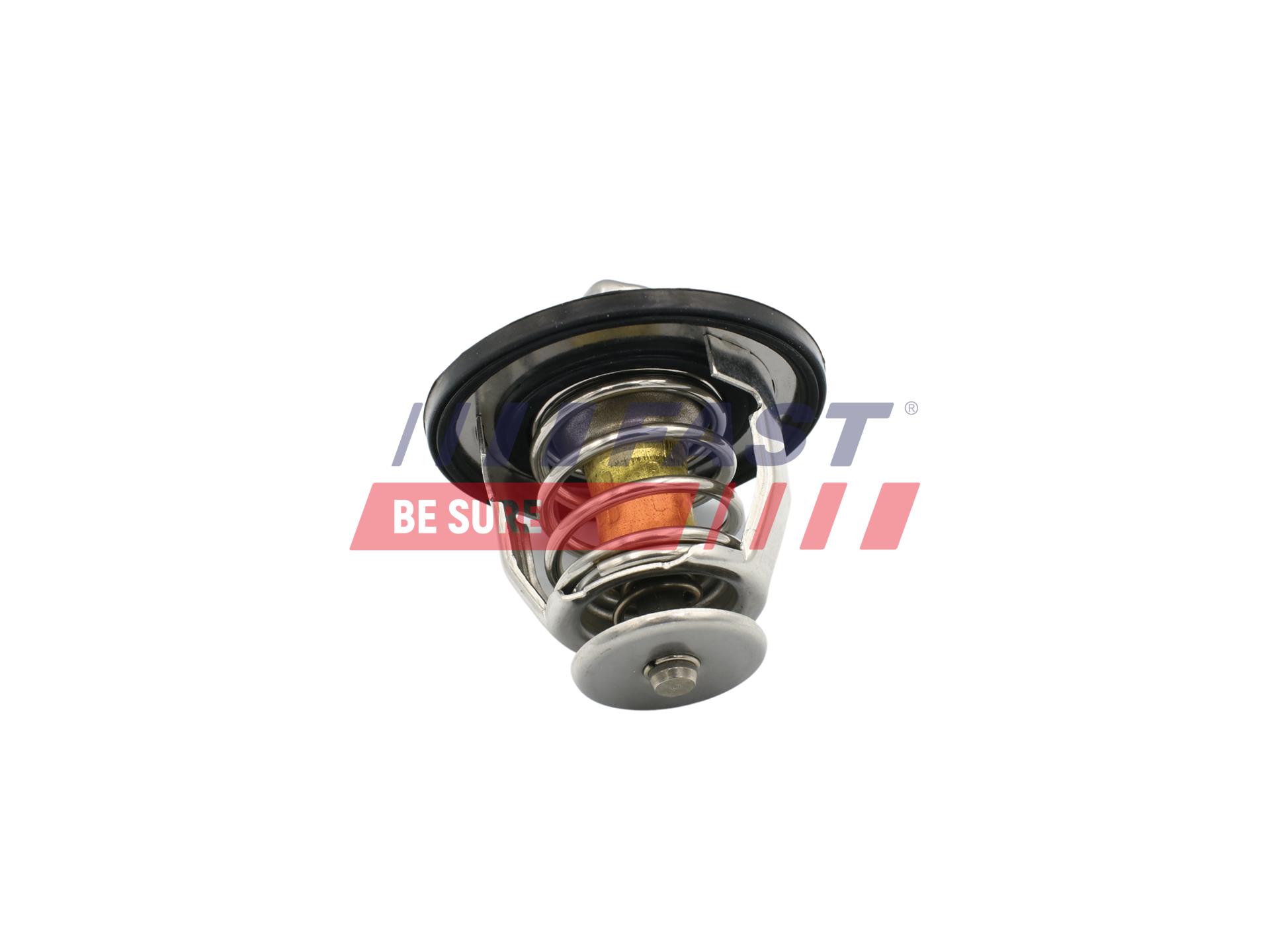 FAST FT58033 Thermostat,...