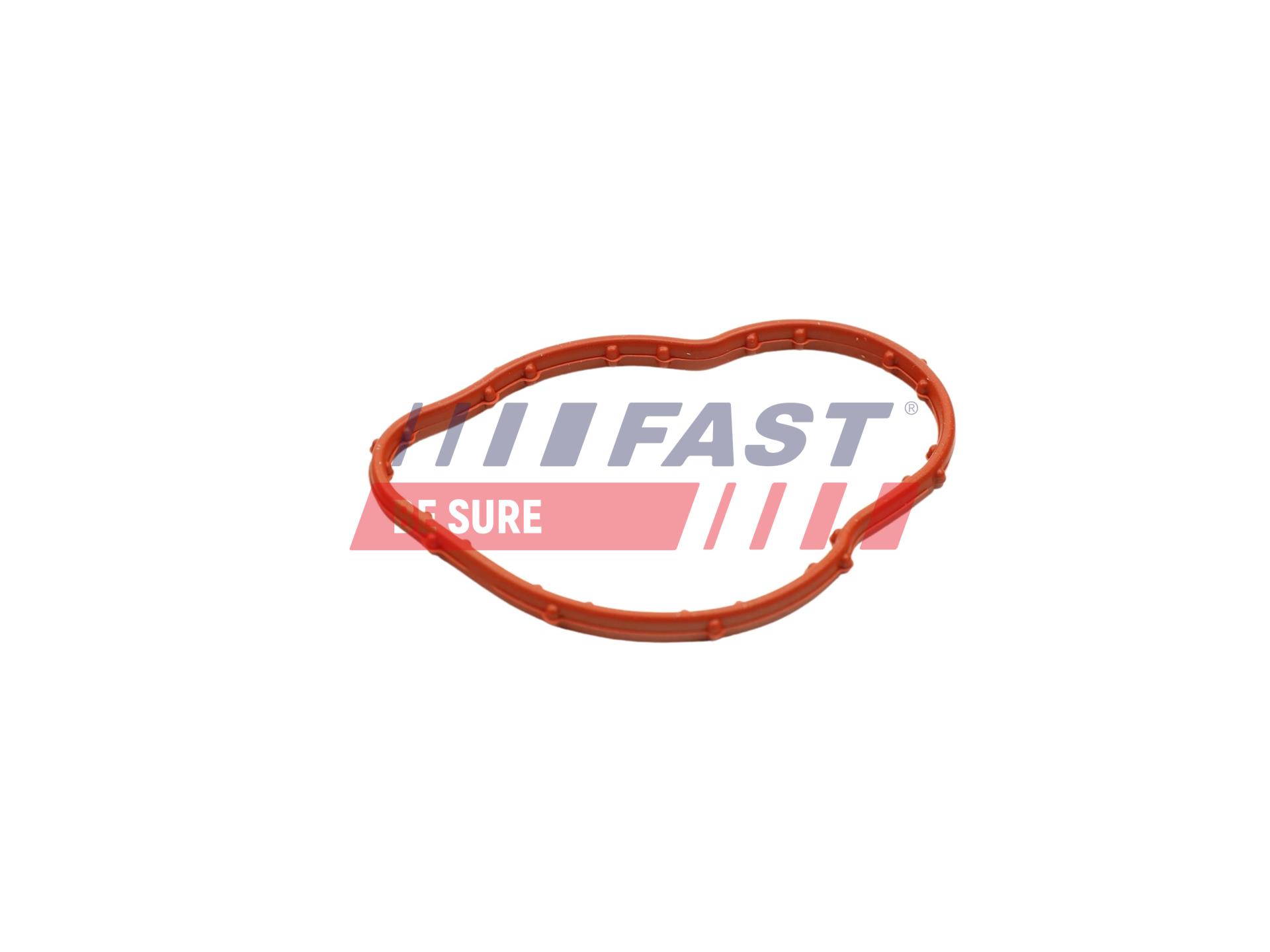 FAST FT58305 Seal,...