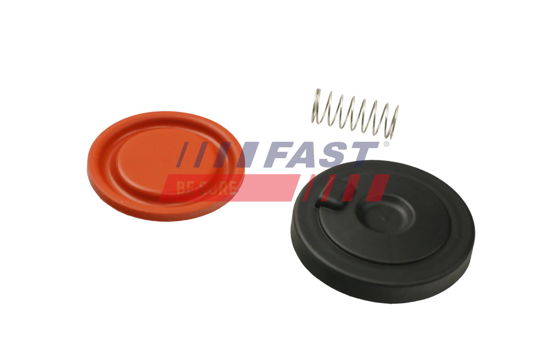 FAST FT60106 Valve,...