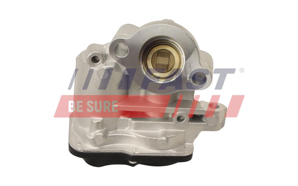 FAST FT60244 EGR Valve for...
