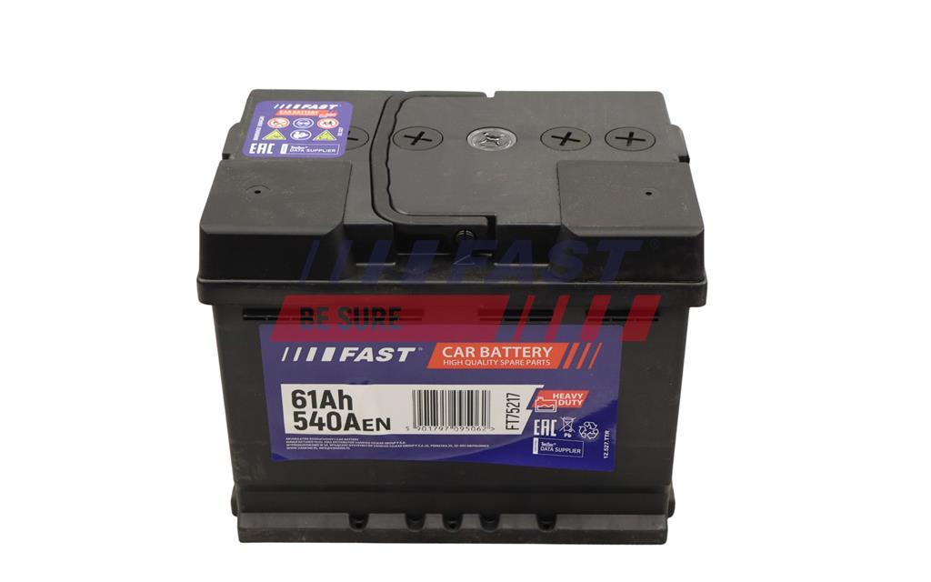 FAST FT75217 Starter Battery