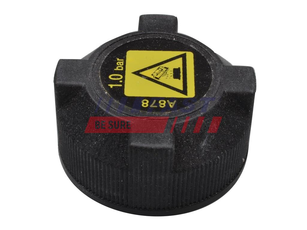 FAST FT94703 Cap, coolant...