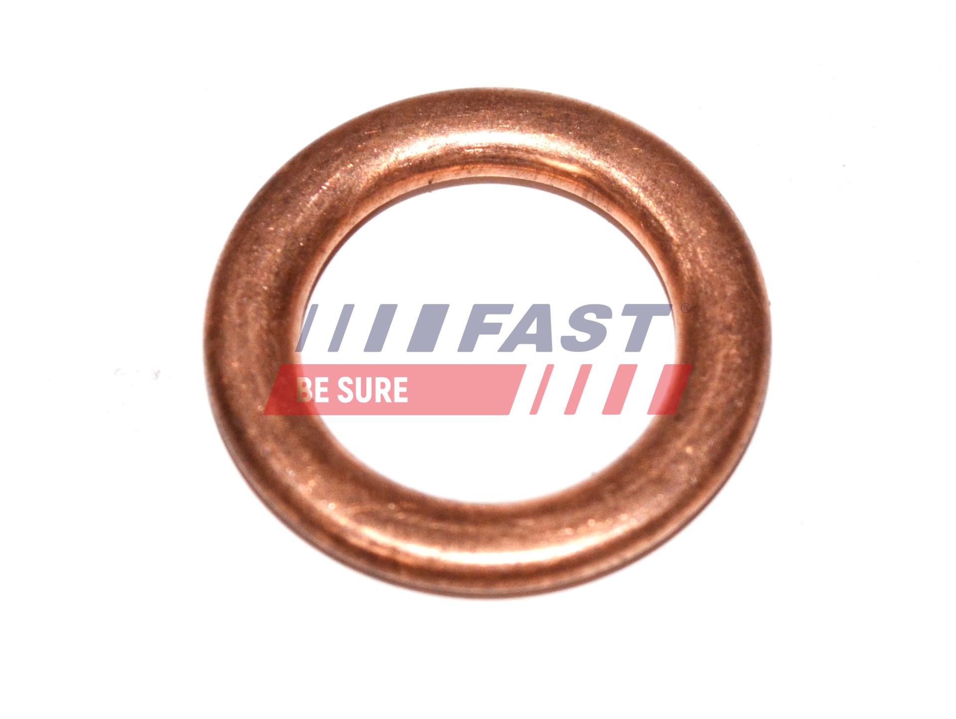 FAST FT94715 Seal, oil...