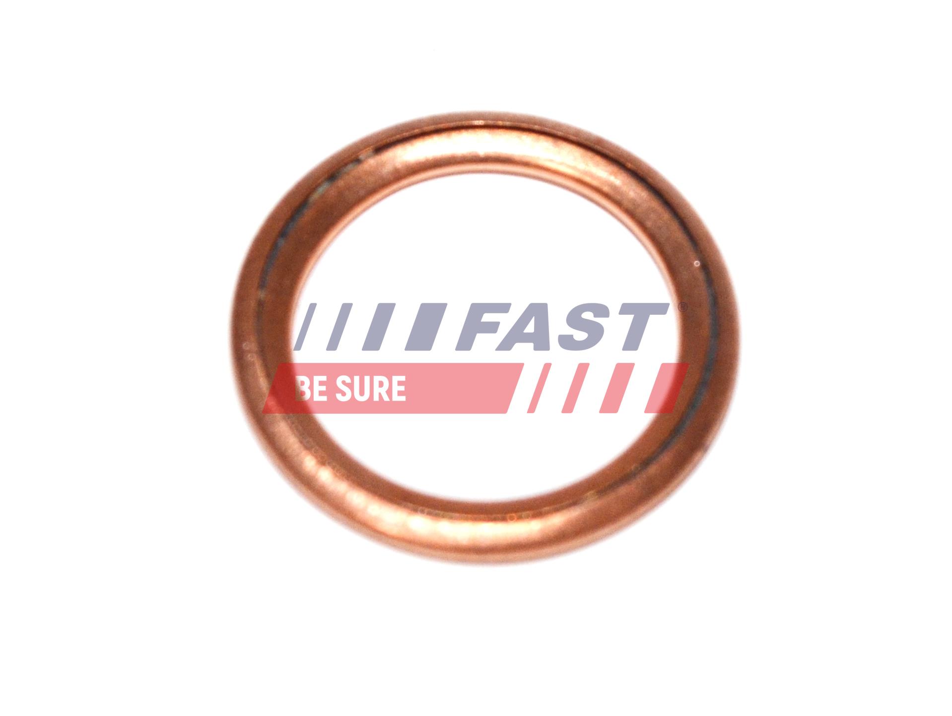 FAST FT94716 Seal Ring, oil...