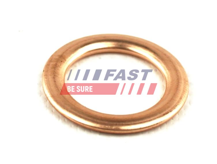 FAST FT94721 Seal, oil...