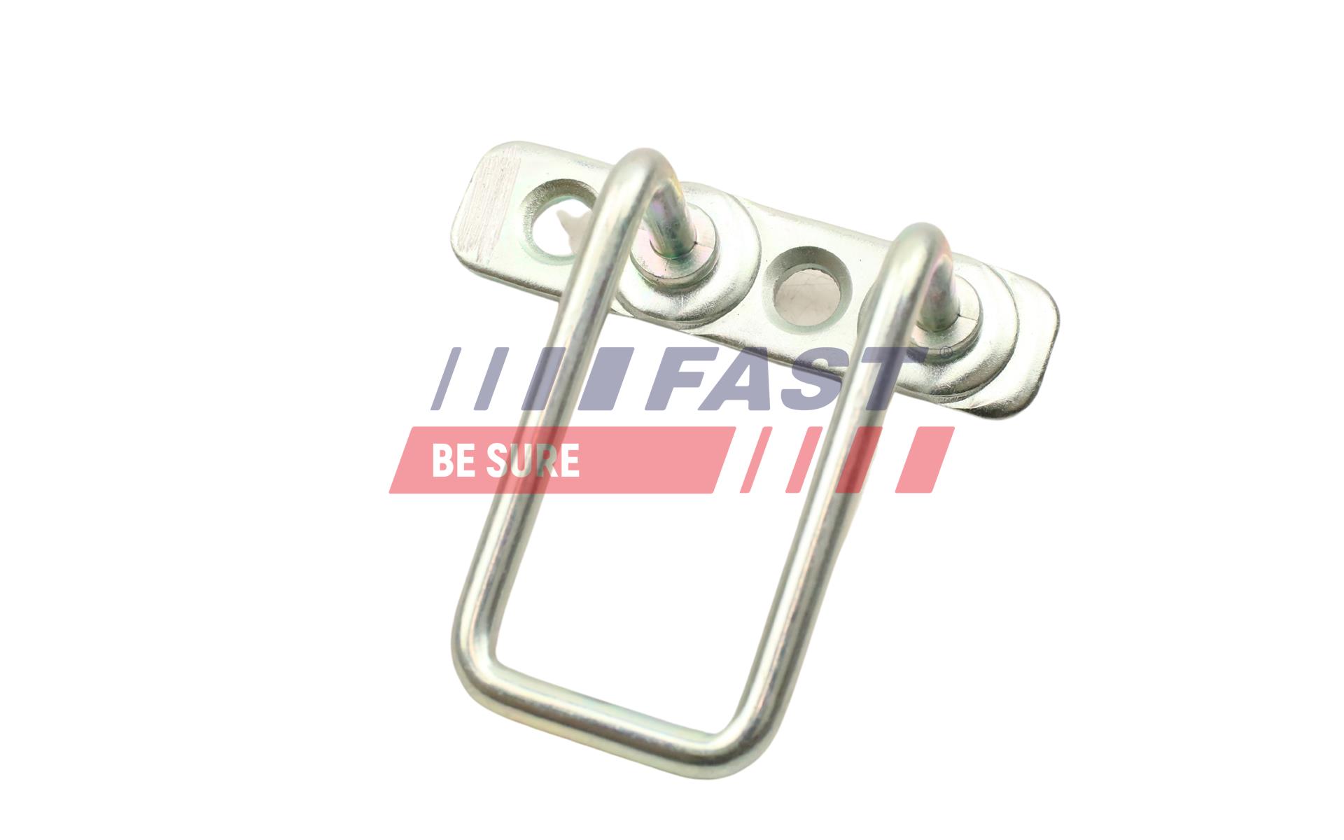 FAST FT95343 Guide, locking...