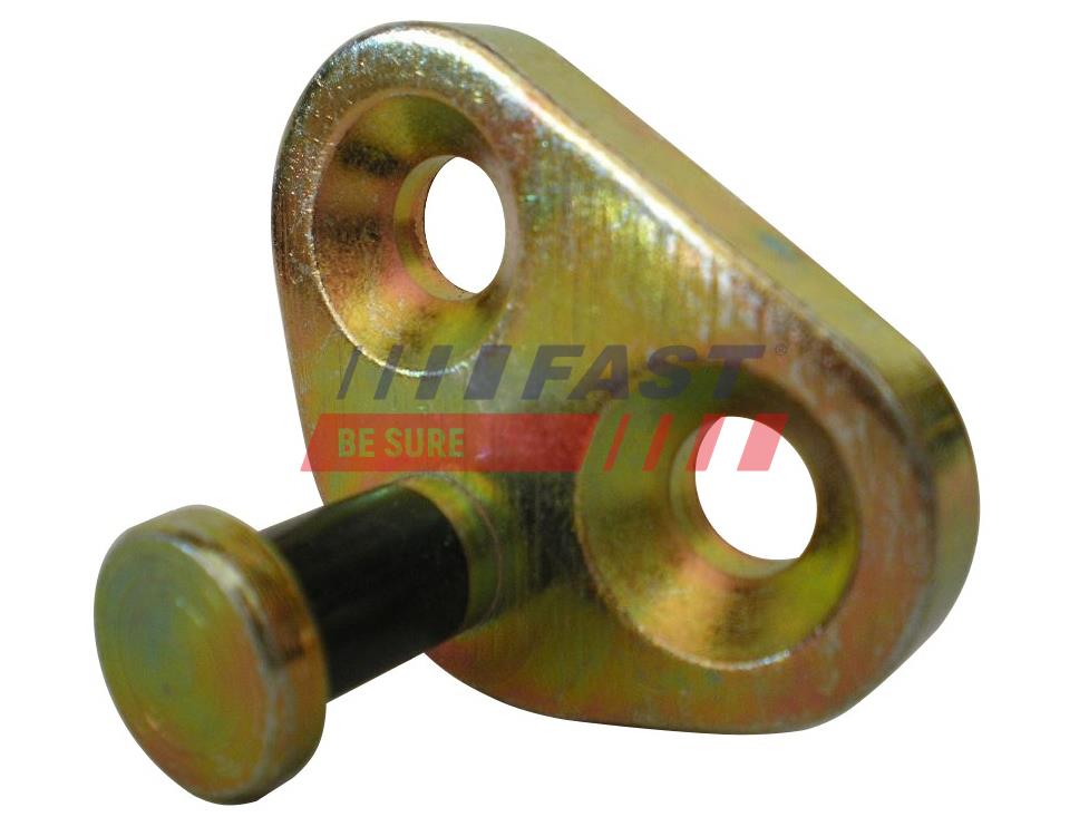 FAST FT95424 Guide, locking...