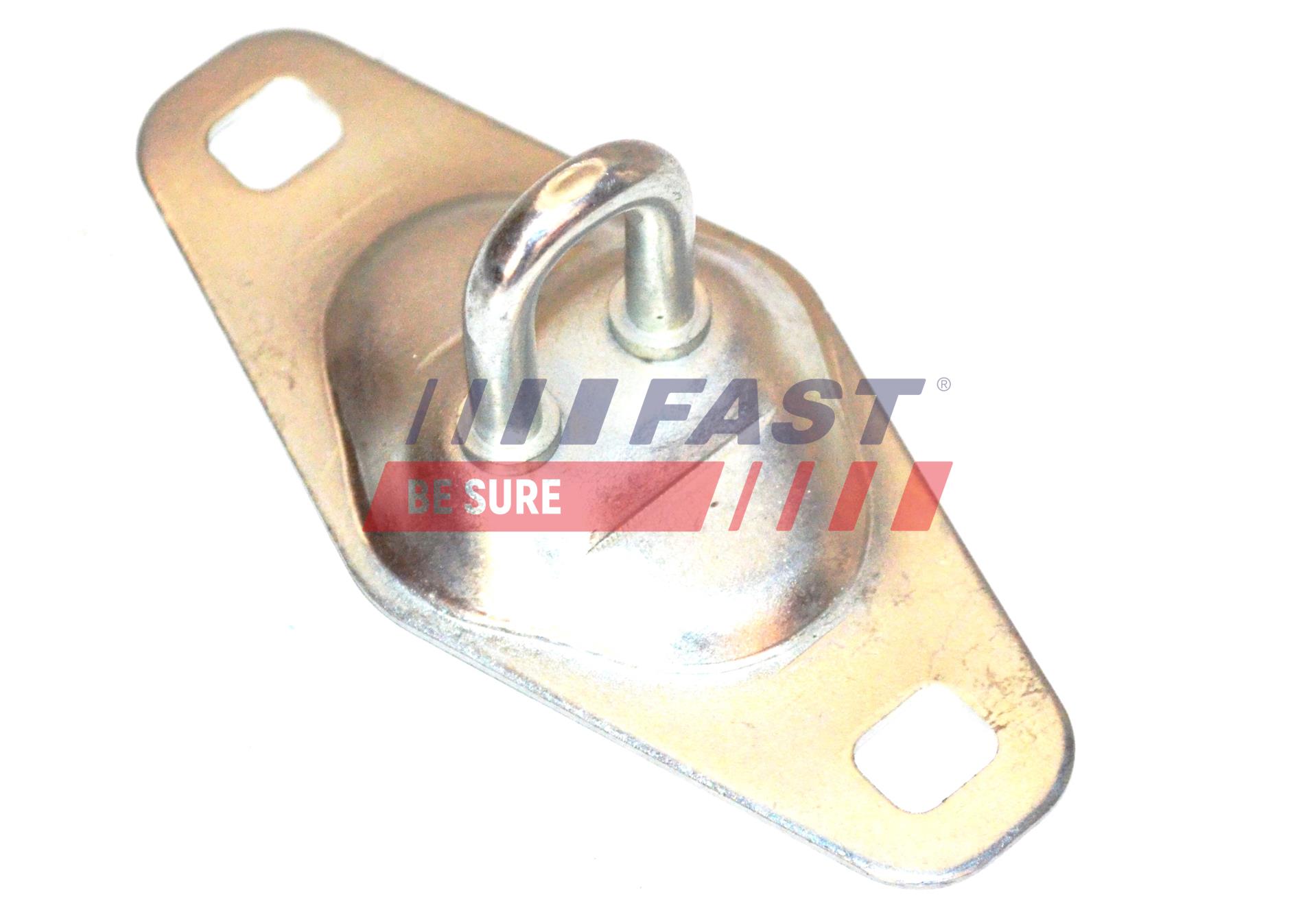 FAST FT95462 Guide, locking...
