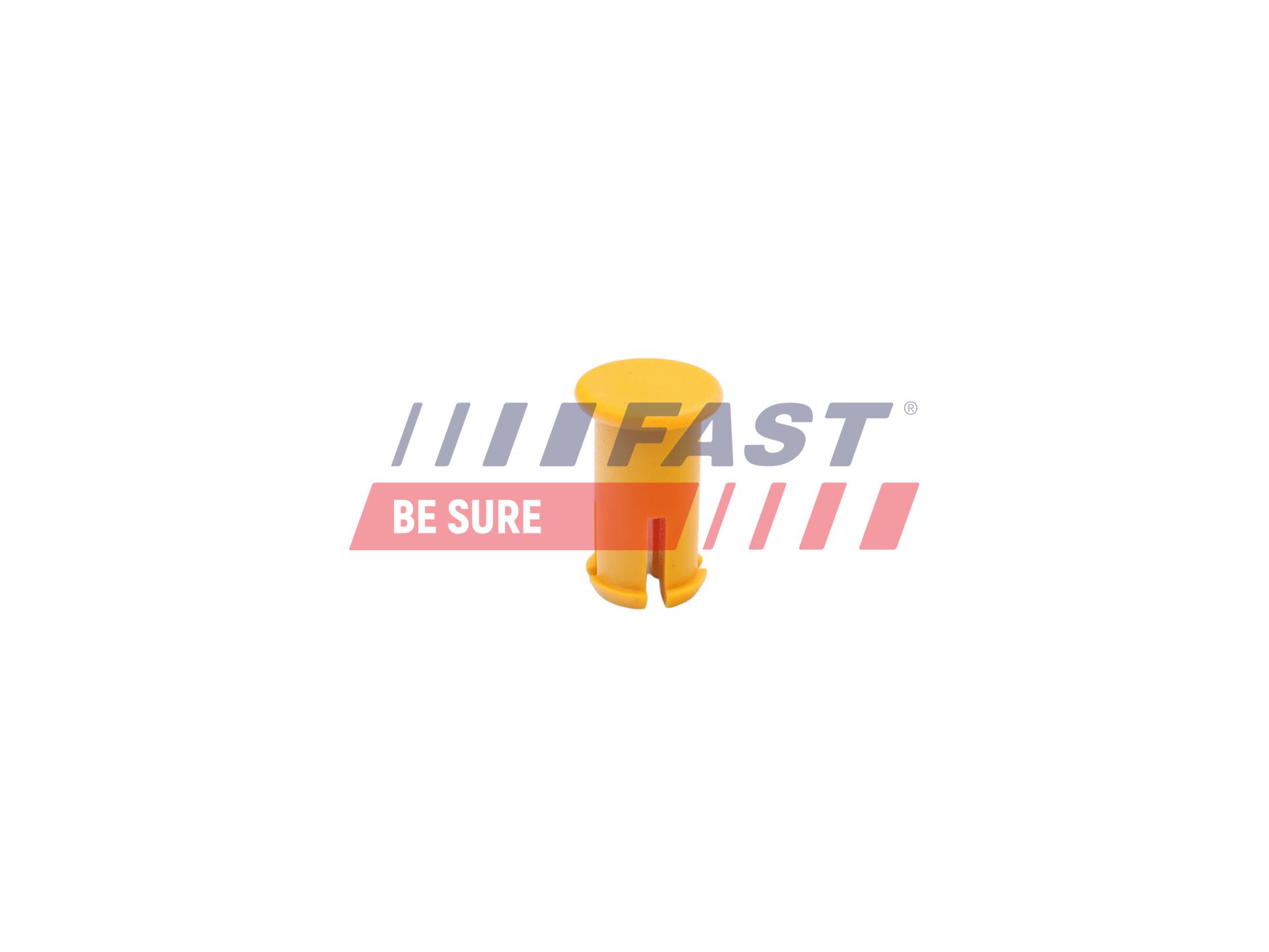 FAST FT96021 Door Check...
