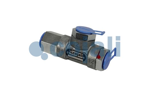 COJALI 2207116 Multiport Valve