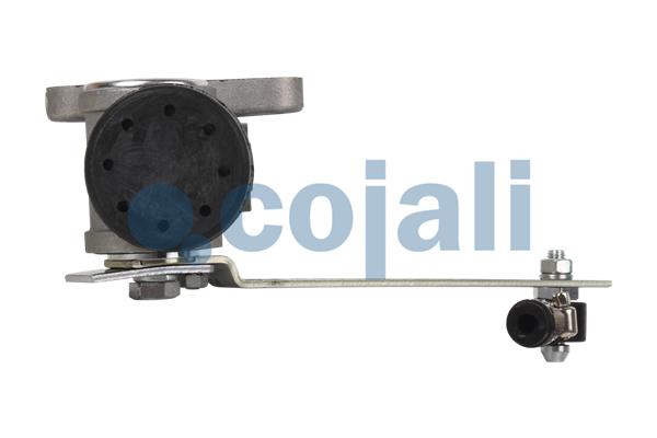 COJALI 2220209 Control Unit, ALB