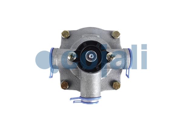 Relay Valve