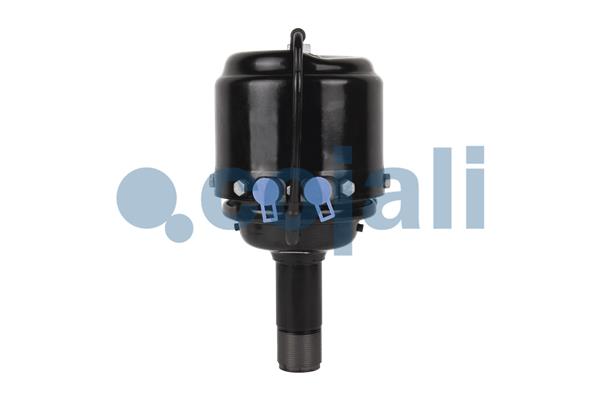 Spring-loaded Cylinder