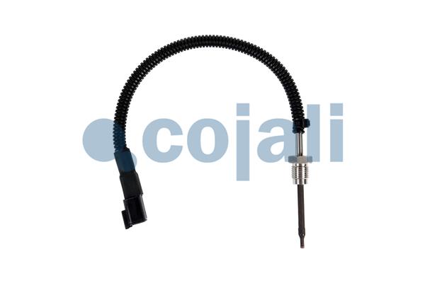 COJALI 2260891 Sensor, coolant temperature