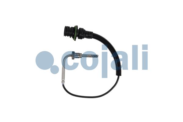 COJALI 2260901 Sensor, coolant temperature