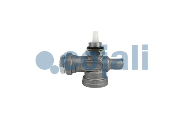 Water Drain Valve