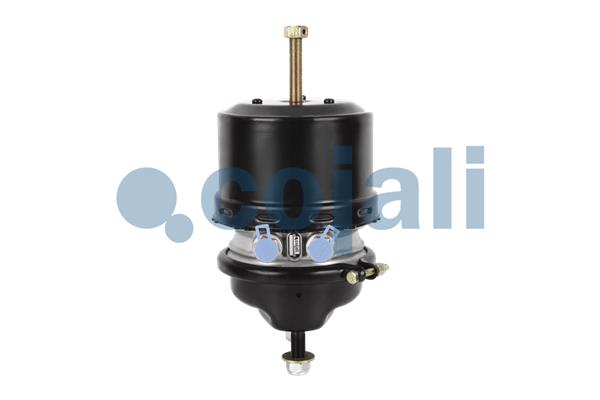 COJALI 2351306 Spring-loaded Cylinder
