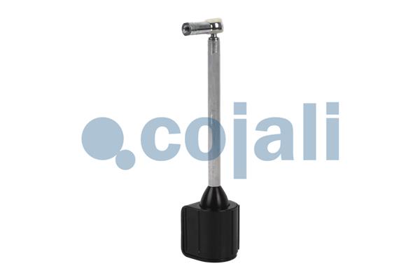 Suspension Strut, air suspension