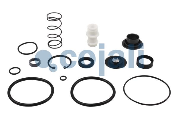 COJALI 6012027 Σετ επισκευής, βαλβίδα τύπου ρελέ for MERCEDES-BENZ