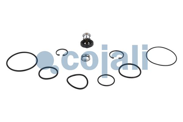 COJALI 6012053 Repair Kit, Load-/empty valve for MERCEDES-BENZ