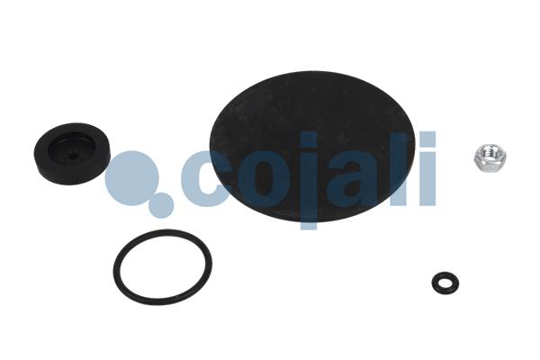 Repair Kit, air dryer