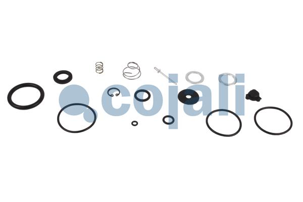 COJALI 6012229 Σετ επισκευής, αφυγραντήρας for MERCEDES-BENZ