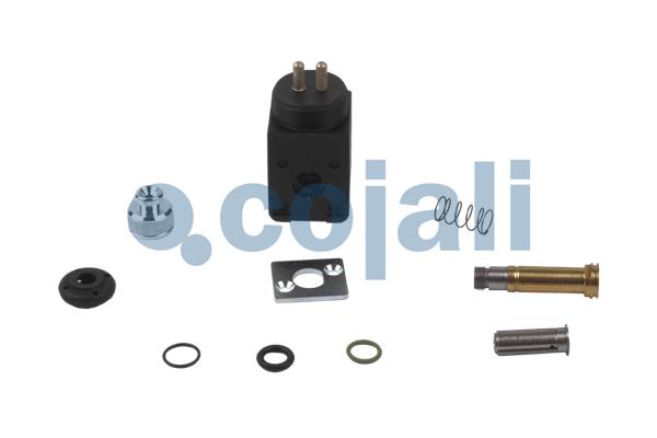 COJALI 6012287 Repair Kit, air spring valve