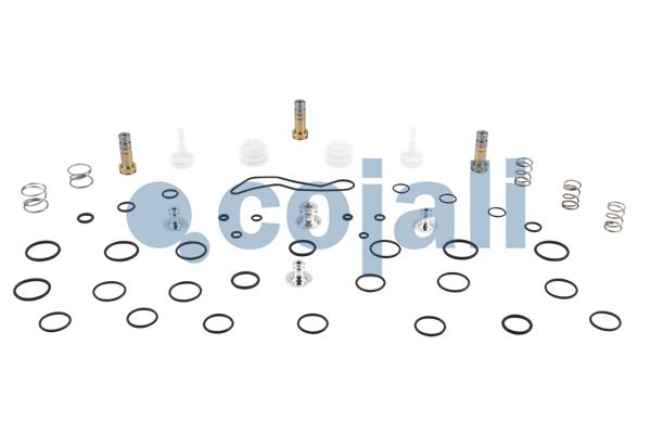 COJALI 6014059 Repair Kit, air spring valve