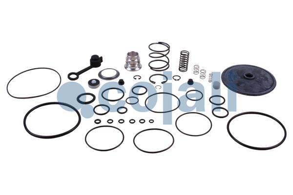COJALI 6014176 Repair Kit, brake force regulator