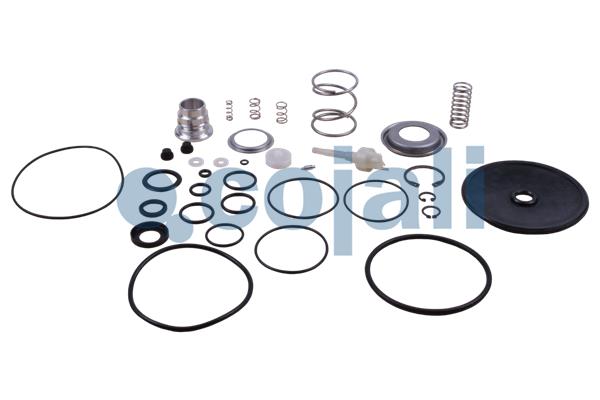COJALI 6014191 Repair Kit, brake force regulator