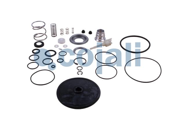 COJALI 6014218 Repair Kit, brake force regulator