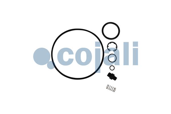 COJALI 6014267 Σετ επισκευής, αφυγραντήρας