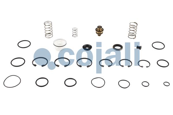 COJALI 6014415 Repair Kit, brake force regulator