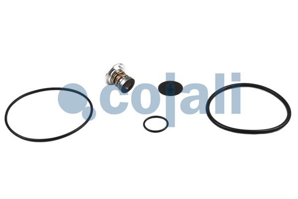 COJALI 6019002 Σετ επισκευής, βαλβίδα τύπου ρελέ