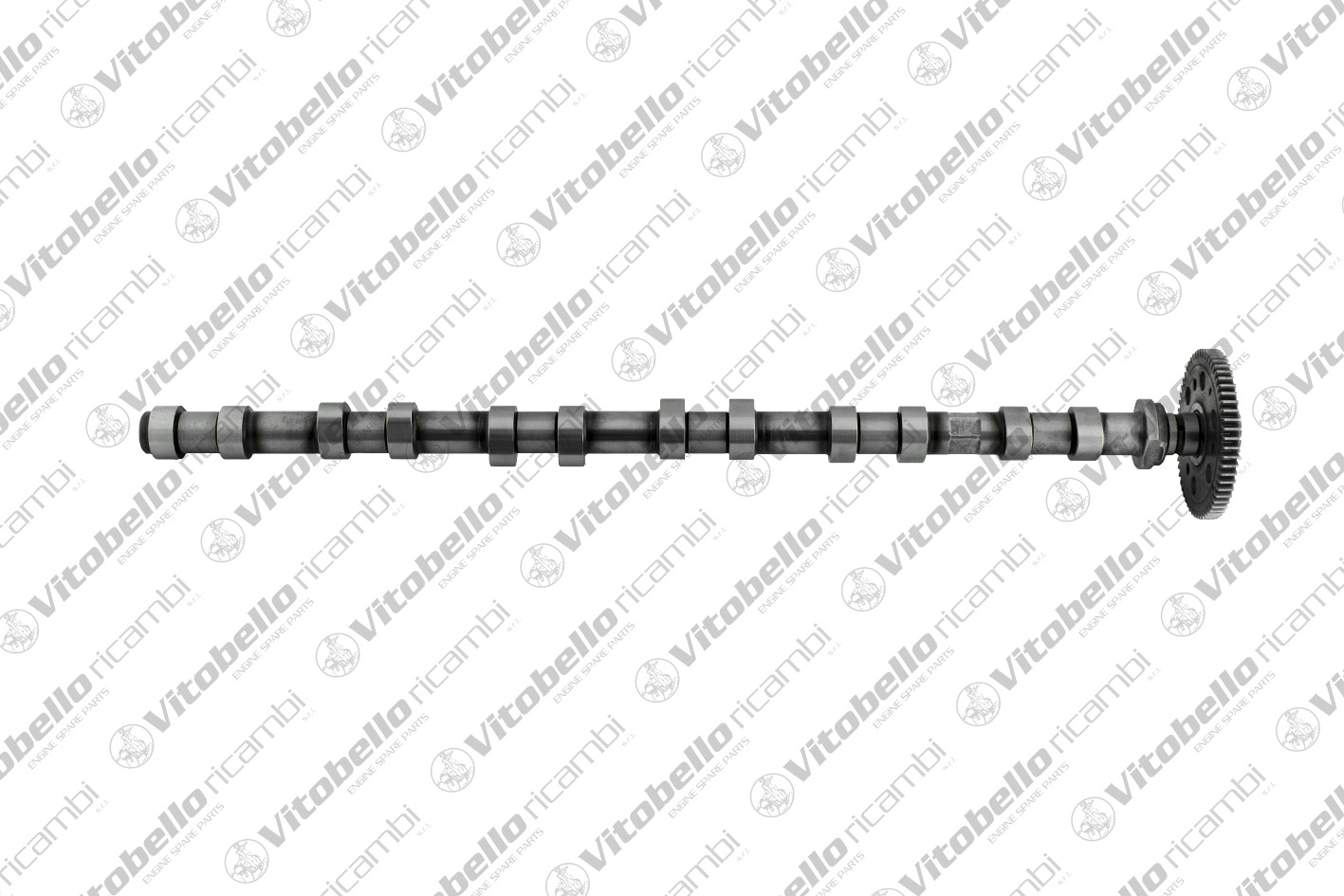 Vitobello Ricambi 1002412N...