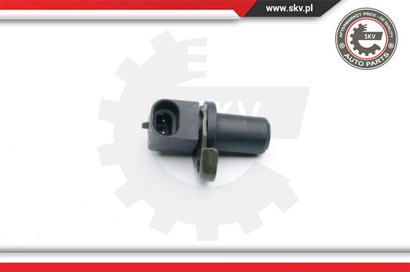 ESEN SKV 06SKV282 Sensor,...