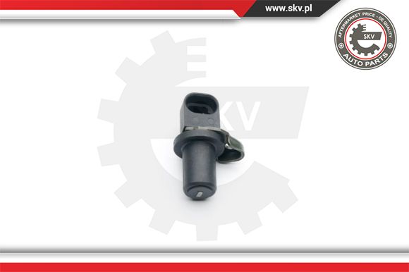 ESEN SKV 06SKV283 Sensor,...