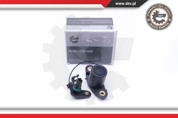 ESEN SKV 17SKV401 Sensor,...