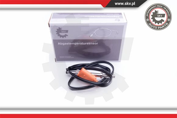 ESEN SKV 30SKV203 Sensor,...